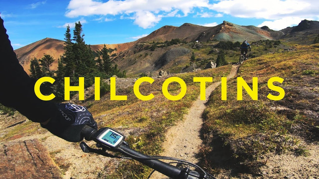Exploring the Chilcotins with Wildlife Photographers