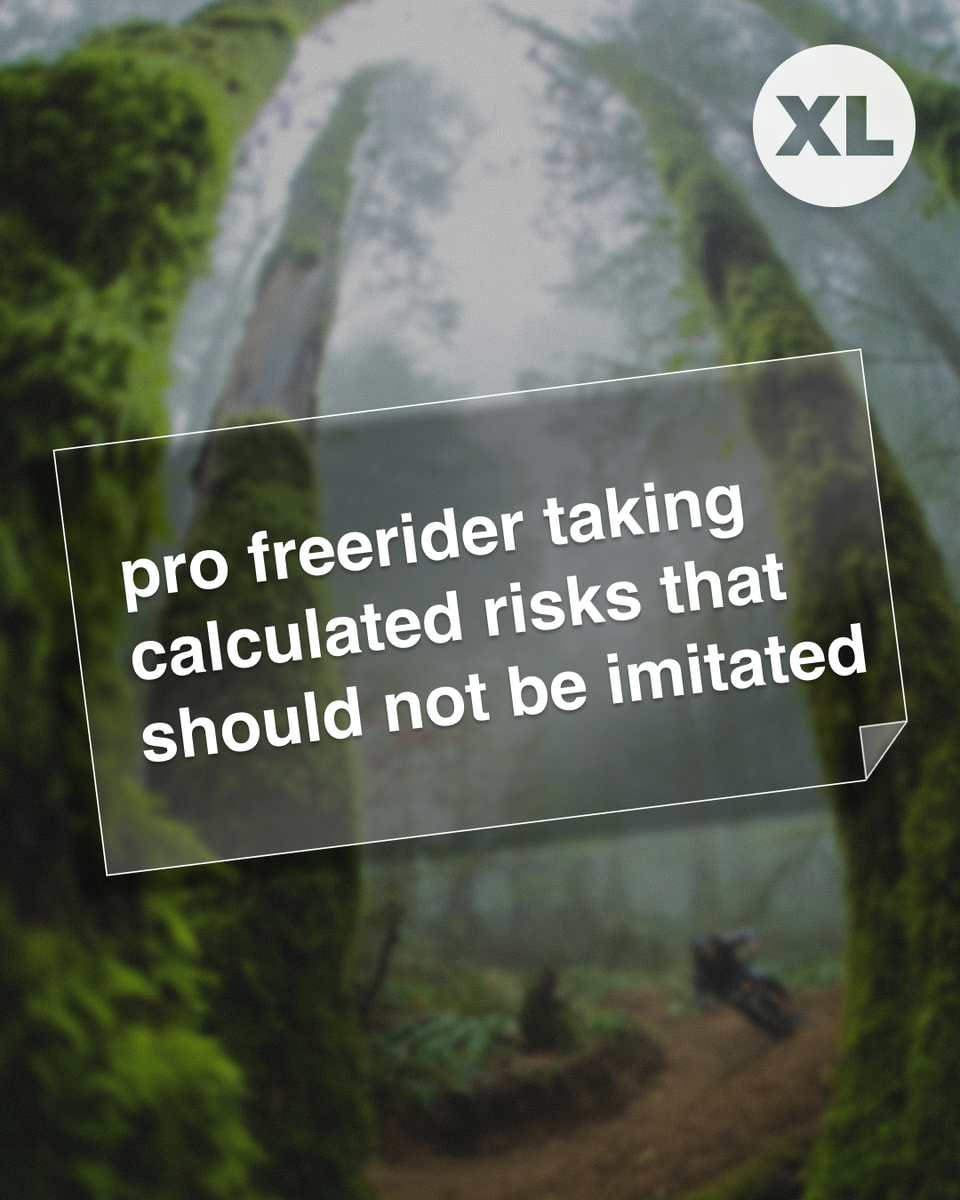 Pro Freerider Taking Calculated Risks Sticker (XL Size) – Mahalo My Dude