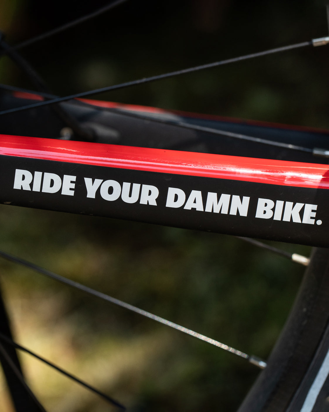 bicycle sticker shop near me Ride Your Damn Bike Sticker